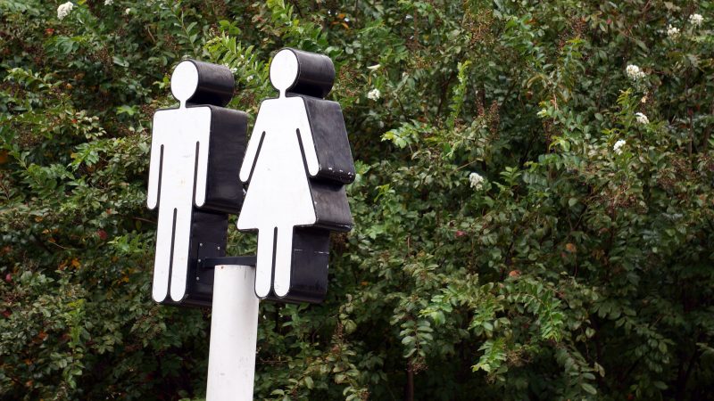 Du betrachtest gerade „Von Natur aus anders“. Zur Psychologie der Geschlechterunterschiede