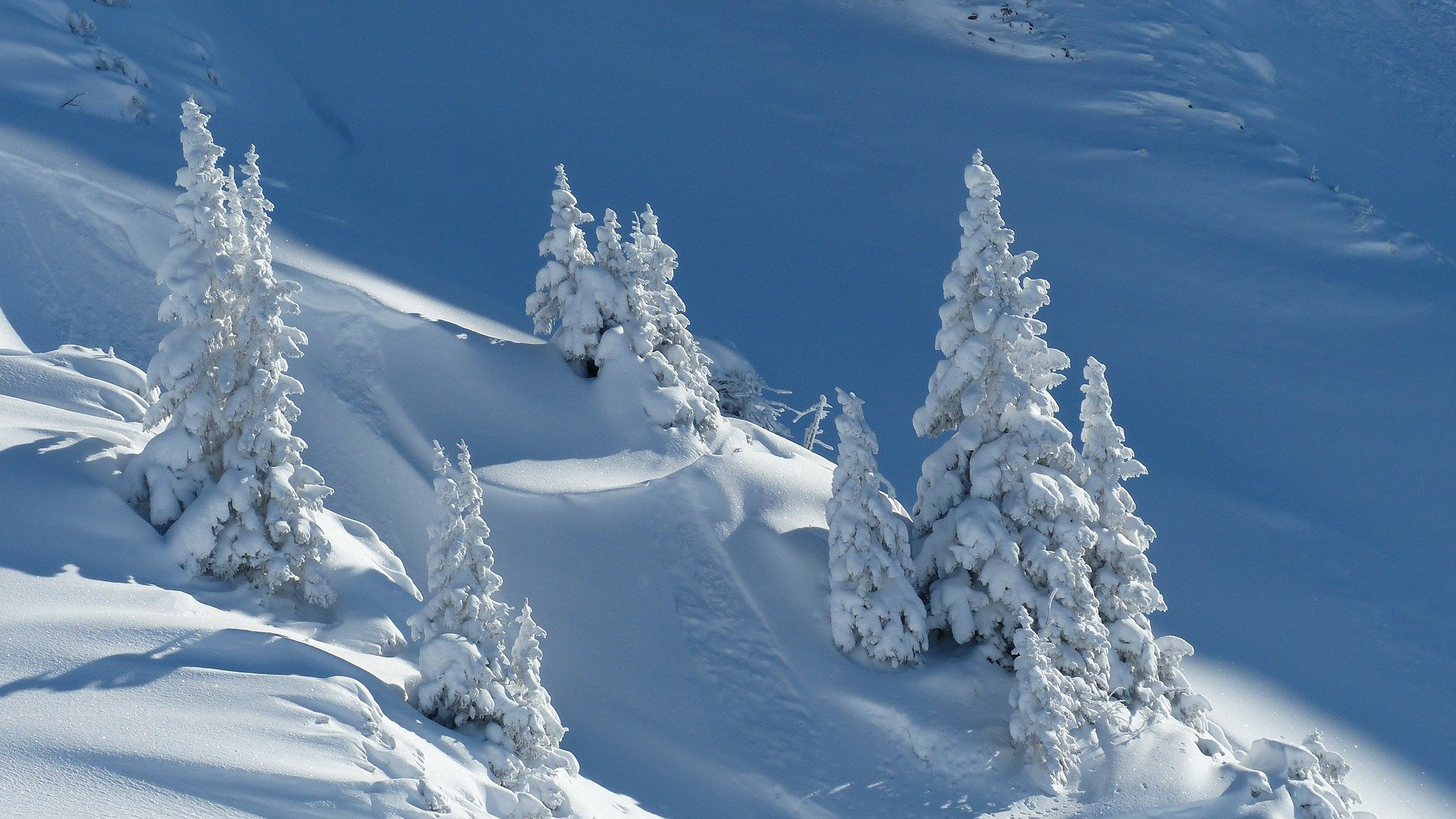 You are currently viewing Der nächste Winter kommt bestimmt