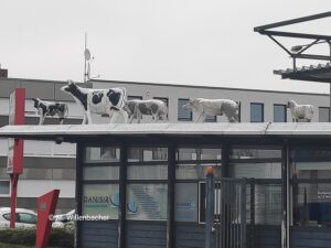 Fleischversorgungszentrum Frankfurt