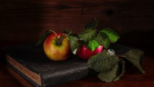 Mehr über den Artikel erfahren Ungelebte Sehnsüchte im Garten