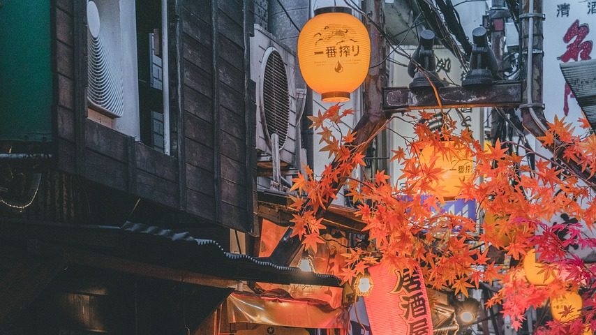Du betrachtest gerade „Madame Butterfly“ – warten im Lost Place