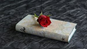 Mehr über den Artikel erfahren Anne Sexton – vom tristen Vorstadtleben zur literarischen Ikone