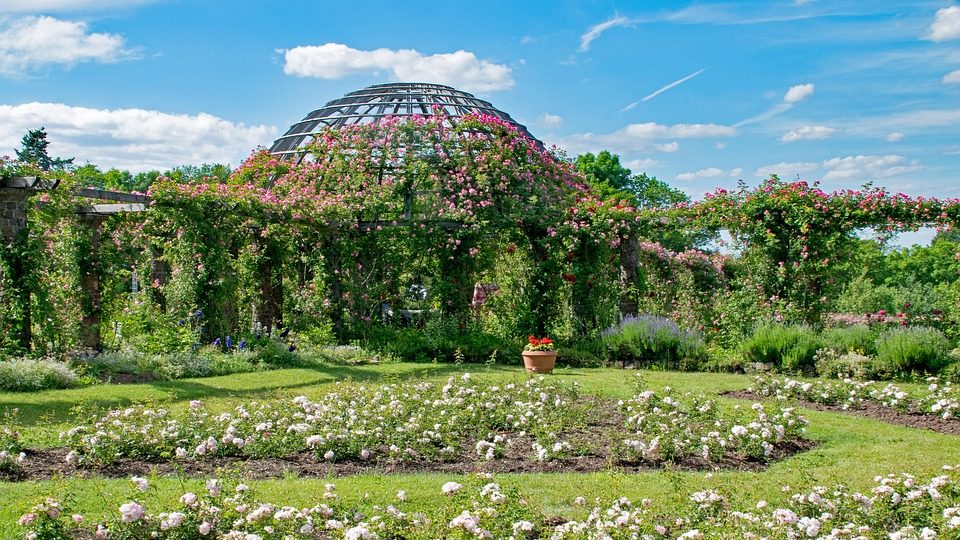 Du betrachtest gerade <strong>Sehnsuchtsort Rosenhöhe Darmstadt: Ein literarischer Frühling mit Karl Krolow</strong>