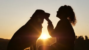 Mehr über den Artikel erfahren „Laika und Margarita“ – Ein Schauspiel über Mensch und Tier am Staatstheater Darmstadt