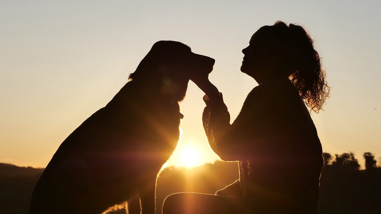 Du betrachtest gerade „Laika und Margarita“ – Ein Schauspiel über Mensch und Tier am Staatstheater Darmstadt