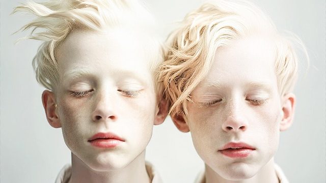 Du betrachtest gerade Rameaus Oper „Castor et Pollux“: Gedanken zu „animal rationale“ und „Anima, Animus“