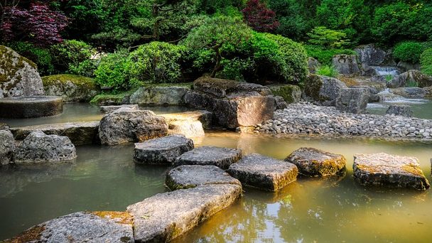Du betrachtest gerade „Warum in die Ferne schweifen“? – „Anima“, pradiesischer Zauber des Japanischen Gartens in Würzburg
