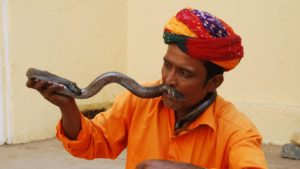 Mehr über den Artikel erfahren Lob der Reptilien – Verhaltensforschung, Mythologie und Umgang mit uns fremden Tieren