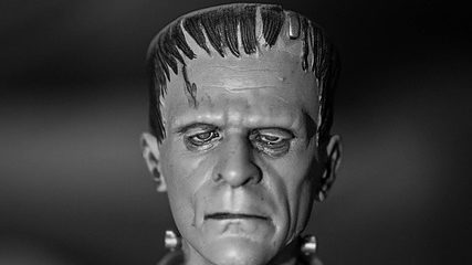 Du betrachtest gerade Kommentar: „Monster Frankenstein oder das geschundene Tier“