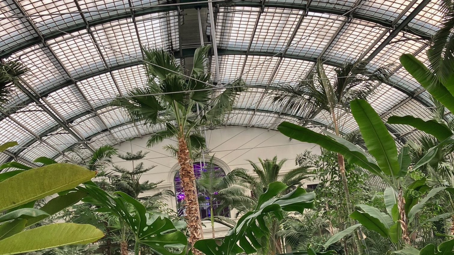 Du betrachtest gerade Teil XXVIII Schreibwerkstatt „Tatort Frankfurt – Welche Rolle spielt die Magie der Musik?“ Burn und Ritter im Frankfurter Palmengarten